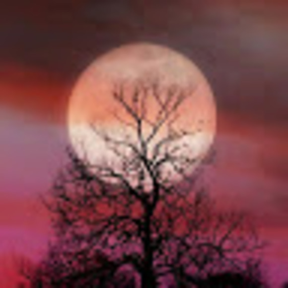 Meet your Posher, Jennifer - Picture 1 of 1